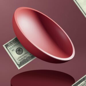 Emergency Expense Control System